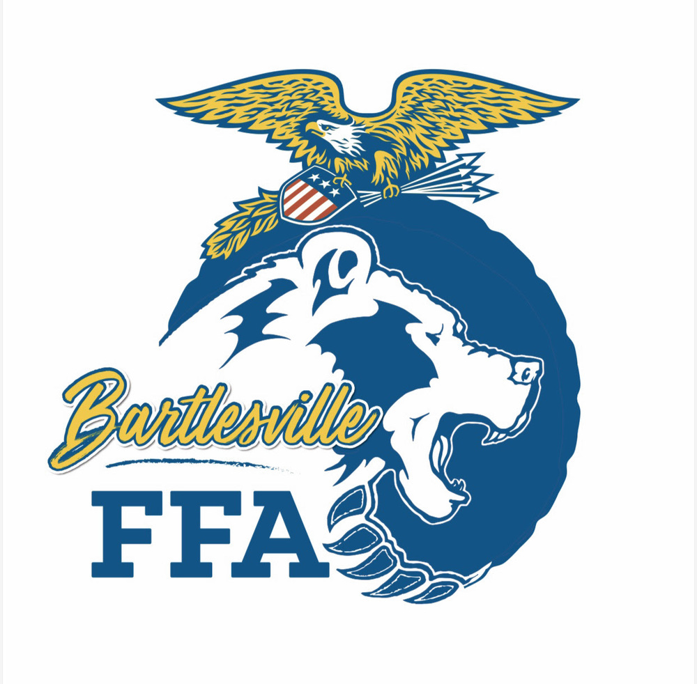 bhs ffa