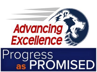 Bond issue progress report