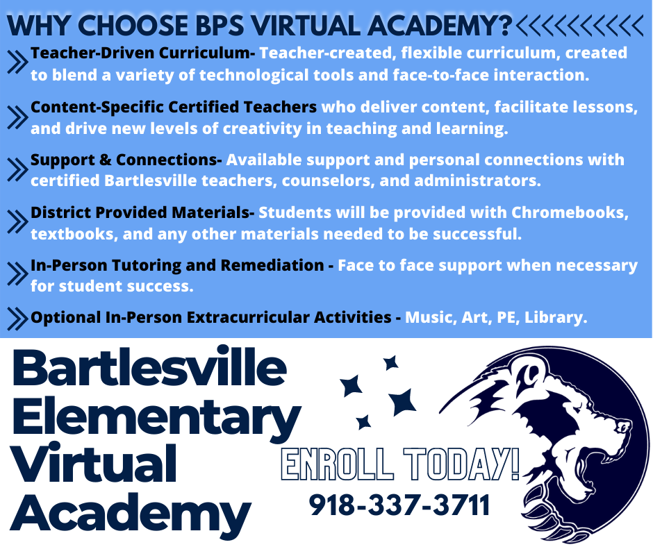 Virtual Elementary School