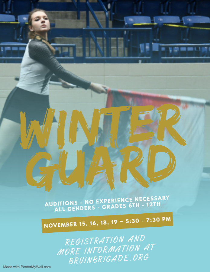 Winter Guard Auditions